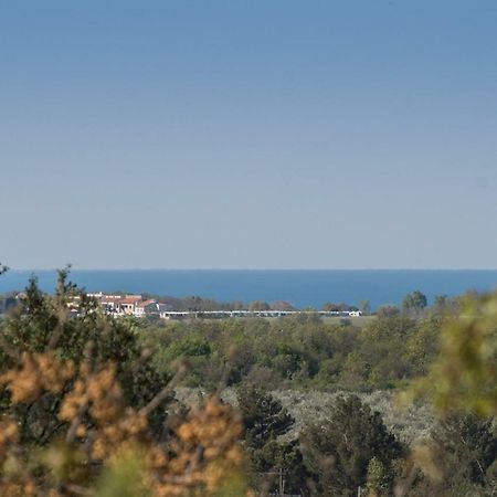 Apartment Bruneta 1 With Sea View Tar-Vabriga Extérieur photo